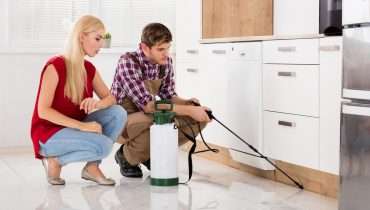 pest control with homeowner